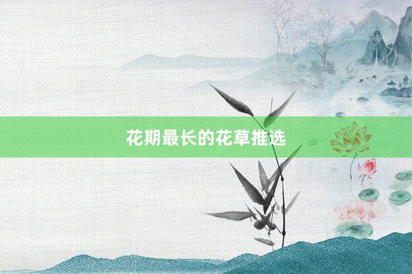 花期最长的花草推选