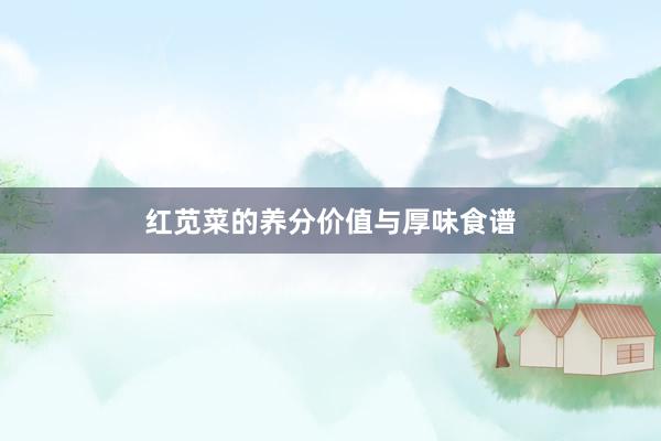 红苋菜的养分价值与厚味食谱