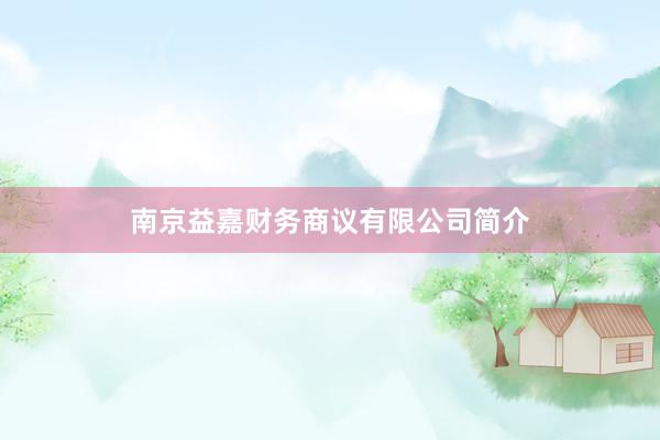 南京益嘉财务商议有限公司简介