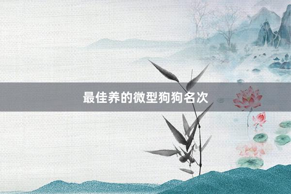 最佳养的微型狗狗名次